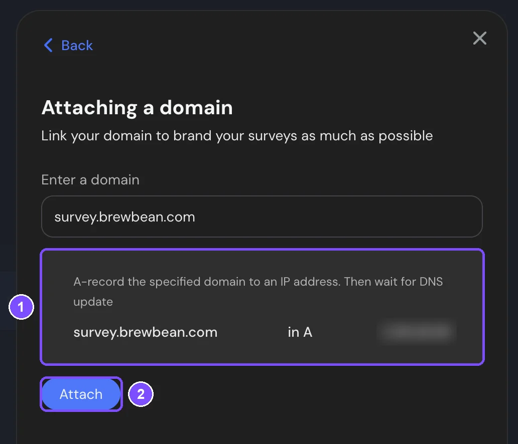 Attaching a domain panel with the A record to create