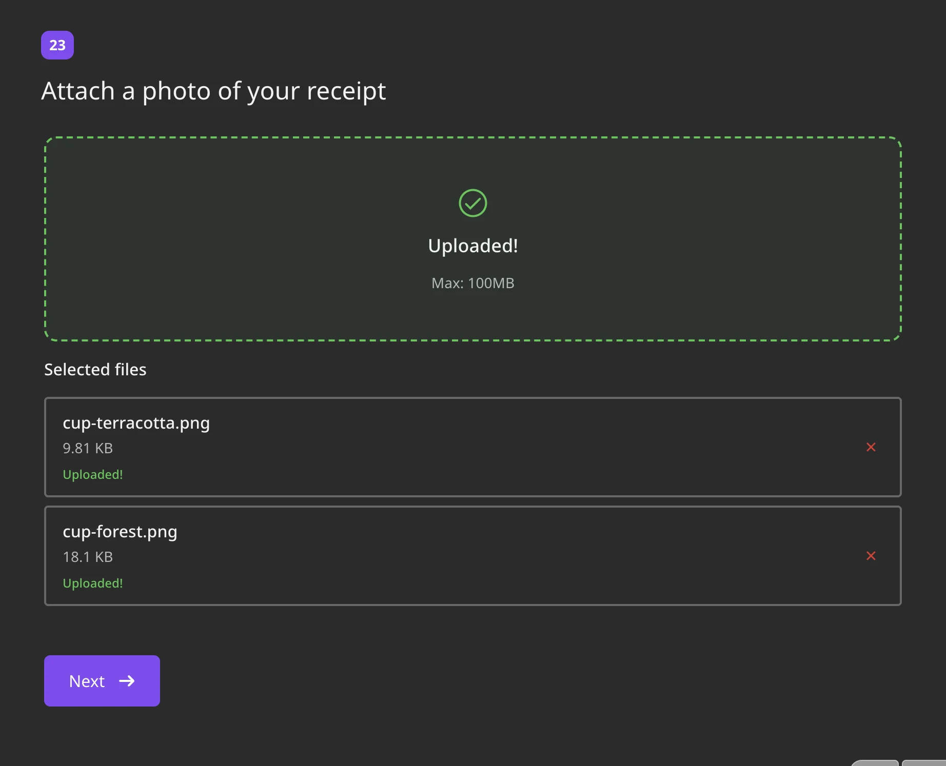 Upload area in the survey with two uploaded files and the size limit