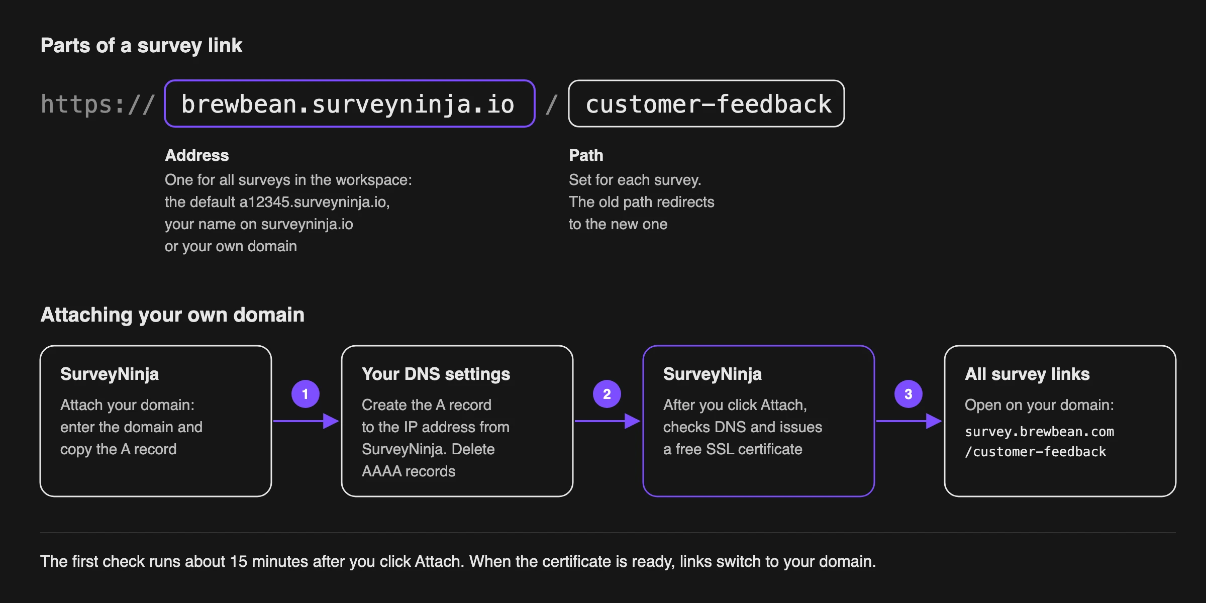 Parts of a survey link and how your own domain is connected