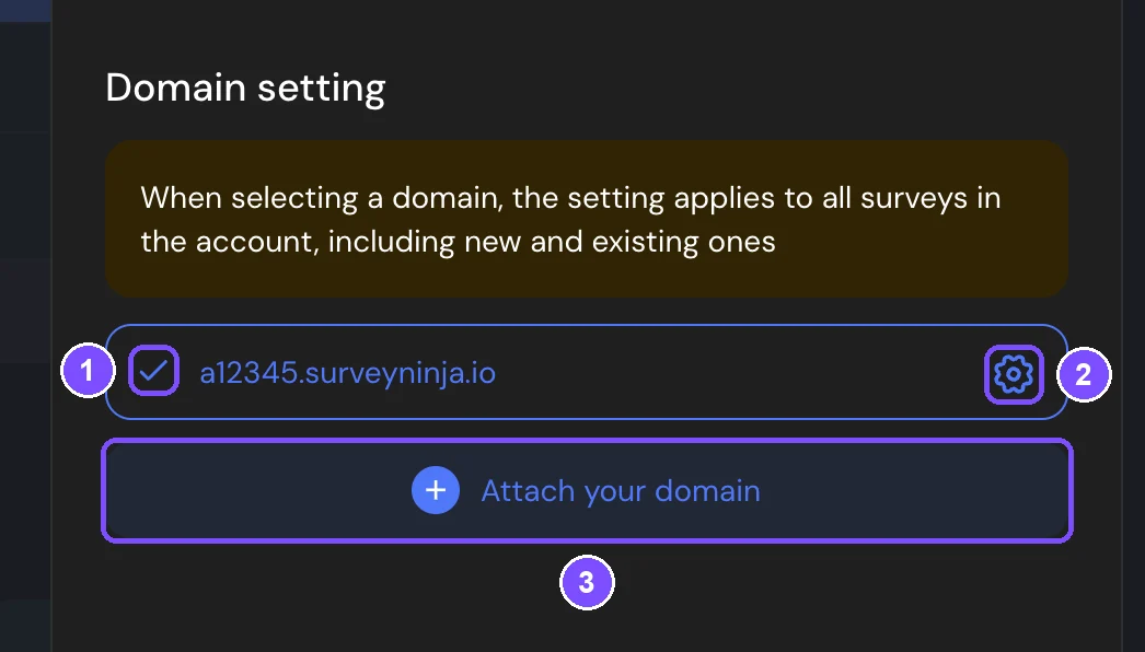 Domain setting block with the selected address, its gear icon and Attach your domain